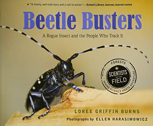 Cover for Beetle Busters