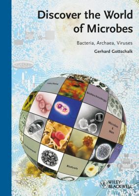 Cover for Discover the World of Microbes