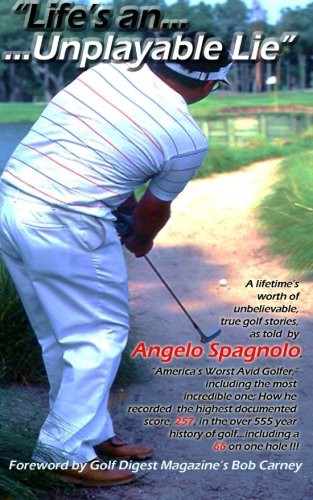 Cover for "Life's an Unplayable Lie"