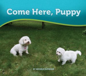 Cover for Come Here, Puppy