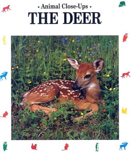 Cover for Deer (Animal Close-Ups)