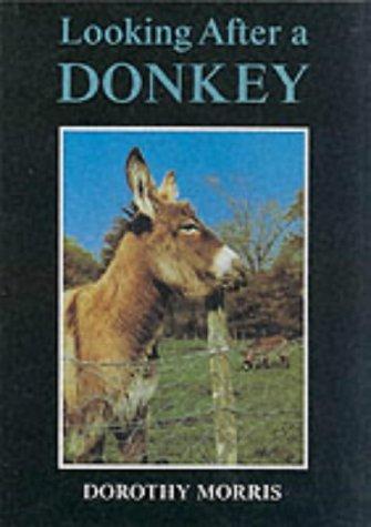 Cover for Looking After a Donkey (Donkeys)