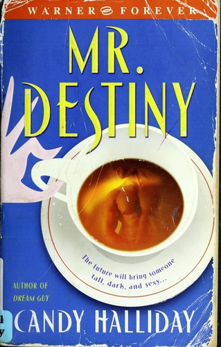 Cover for Mr. Destiny
