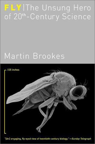 Cover for Fly