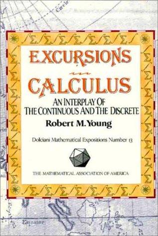 Cover for Excursions in calculus