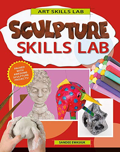 Cover for Sculpture Skills Lab