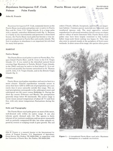 Cover for Roystonea borinquena O.F. Cook