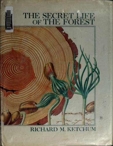 Cover for The secret life of the forest