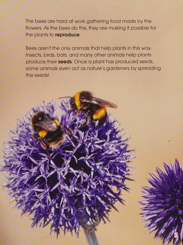 Cover for How do animals help plants reproduce?