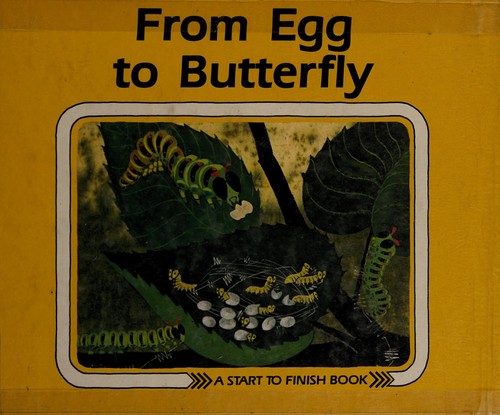 Cover for From egg to butterfly