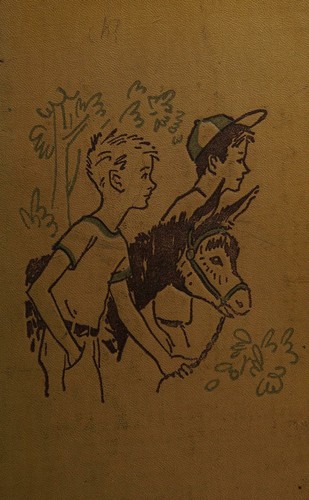 Cover for Donkey detectives