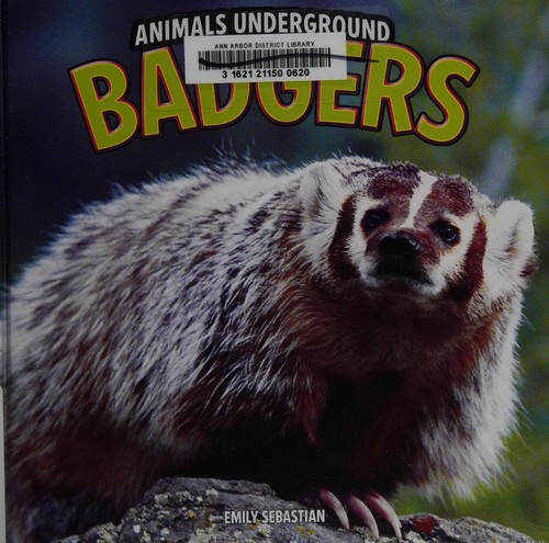 Cover for Badgers