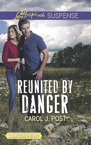 Cover for Reunited by Danger