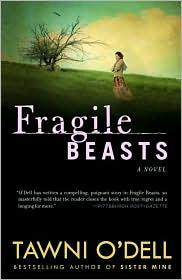 Cover for Fragile Beasts
