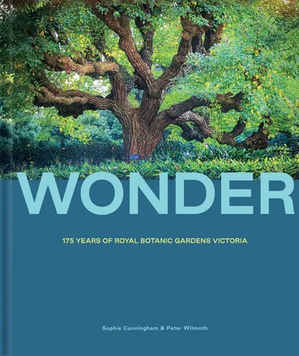 Cover for Wonder
