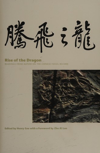 Cover for Rise of the dragon