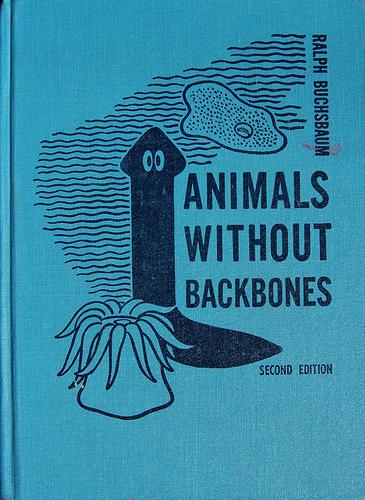 Cover for Animals without backbones