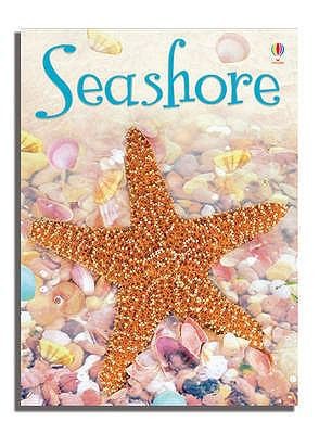 Cover for Seashore
            
                Usborne Beginners