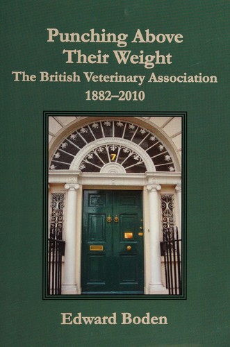 Cover for Punching above their weight