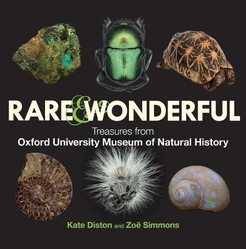 Cover for Rare and Wonderful