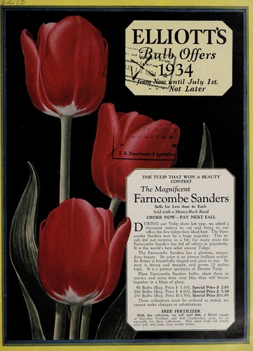 Cover for Elliott's bulb offers, 1934