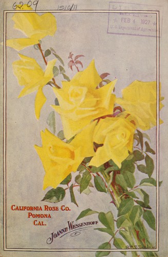 Cover for Illustrated and descriptive book of field-grown roses