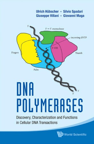 Cover for DNA polymerases