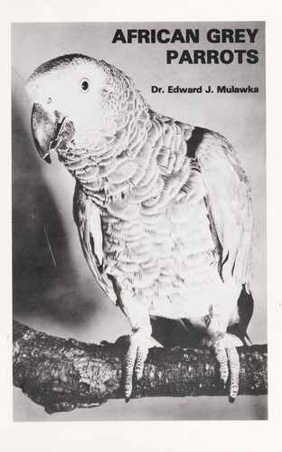 Cover for African grey parrots