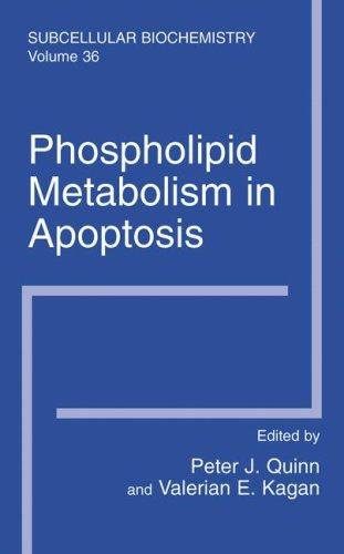 Cover for Phospholipid Metabolism in Apoptosis (Subcellular Biochemistry, Volume 36) (Subcellular Biochemistry)