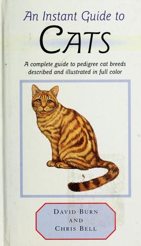 Cover for An instant guide to cats