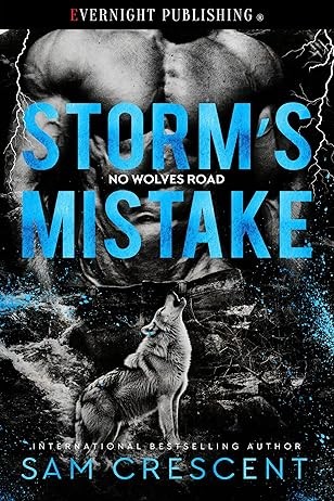 Cover for Storm's Mistake