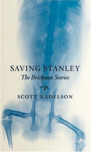 Cover for Saving Stanley