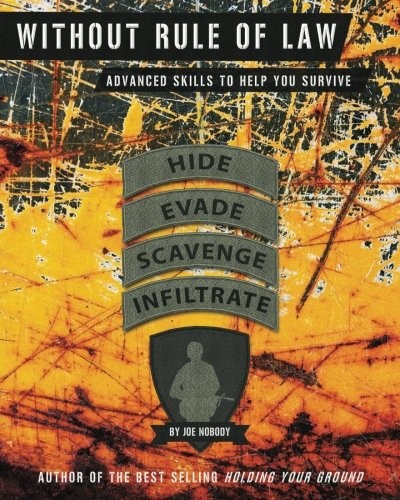 Cover for Without Rule of Law