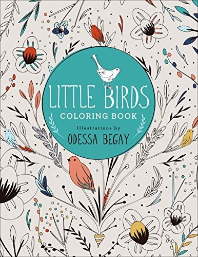 Cover for Little Birds Colouring Book