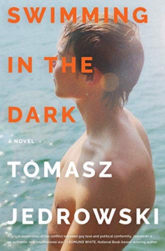 Cover for Swimming in the Dark
