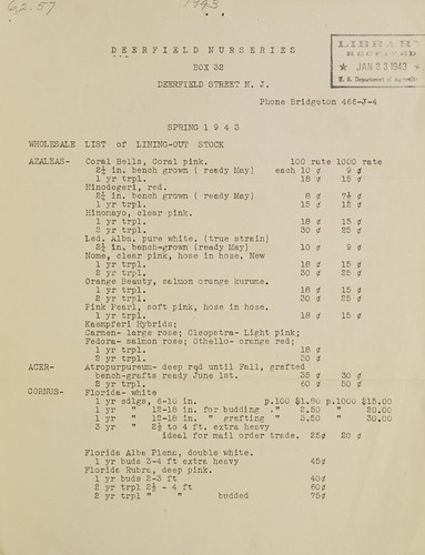 Cover for Wholesale list of lining out stock, spring 1943