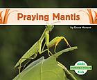 Cover for Praying Mantis