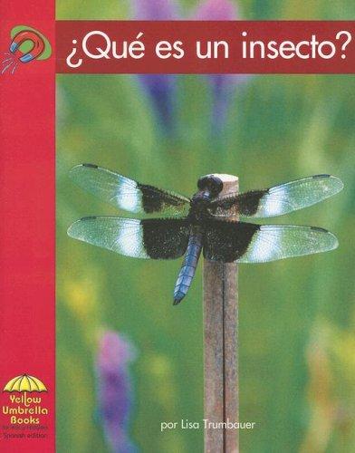 Cover for Que Es Un Insecto?/ What Is an Insect?