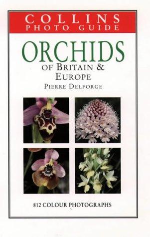 Cover for Orchids (Collins Photo Guide)