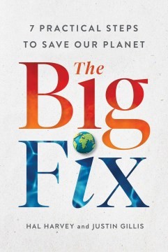 Cover for Big Fix