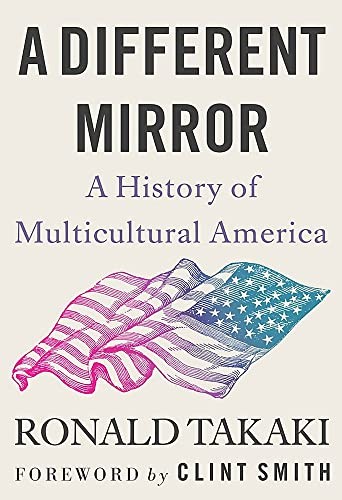 Cover for Different Mirror