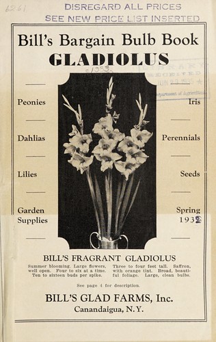 Cover for Bill's bargain bulb book