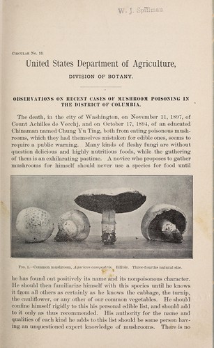 Cover for Observations on recent cases of mushroom poisoning in the District of Columbia