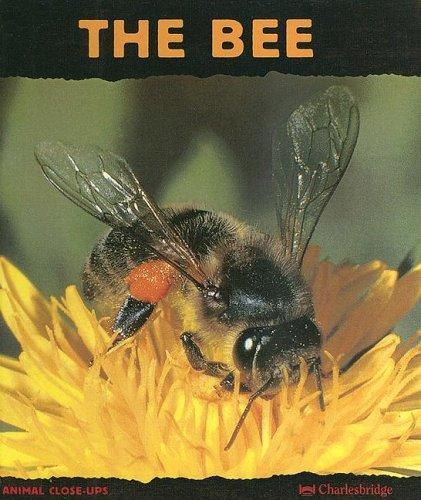 Cover for Bee