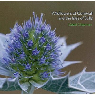Cover for Wildflowers Of Cornwall And The Isles Of Scilly