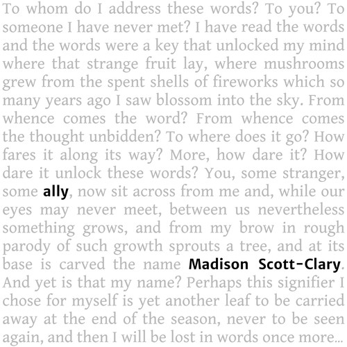 Cover for ally