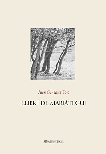 Cover for Llibre de Mariátegui