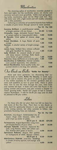 Cover for Best bulbs for 1957 summer-autumn gardens