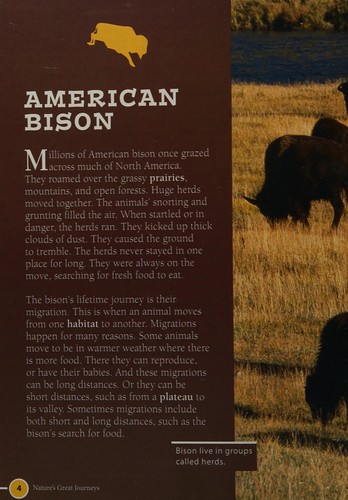 Cover for Bison
