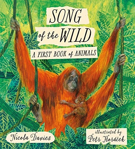 Cover for Song of the Wild: A First Book of Animals